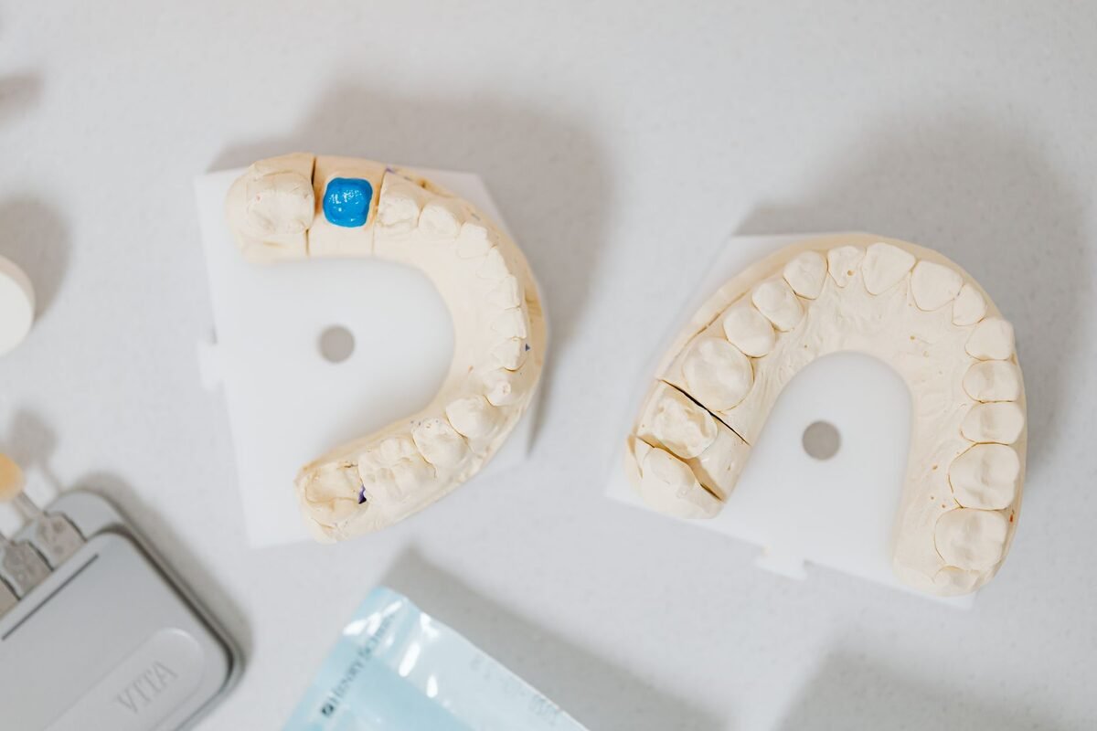Dentist holding a porcelain dental crown next to a model of teeth